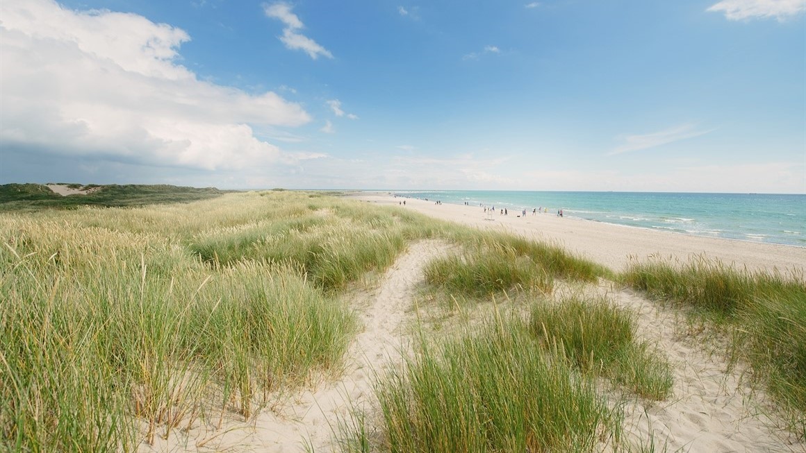 Mt ljuset i Skagen